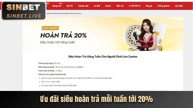 Hoàn trả hàng tuần cá cược thể thao vip666